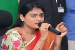 Indira Shoban Resigns: వైఎస్ షర్మిలకు బిగ్ షాక్.. కీలక నేత రాజీనామా, మళ్లీ పాత గూటికే వెళ్తారా?