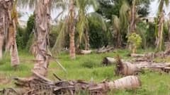 ભારતીય કિસાન સંઘના અધ્યક્ષ વિઠ્ઠલ દુધાત્રાએ ખેડૂતોને સહાય અંગે શું લગાવ્યા આરોપો?