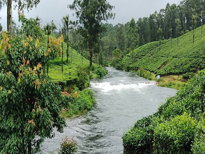 மச்சி ஒரு டிரிப் போலாமா?:  தூவானம்... வனமே வானம்... 'சின்ன சிரபுஞ்சி' சின்னக்கல்லார் பயணம்!