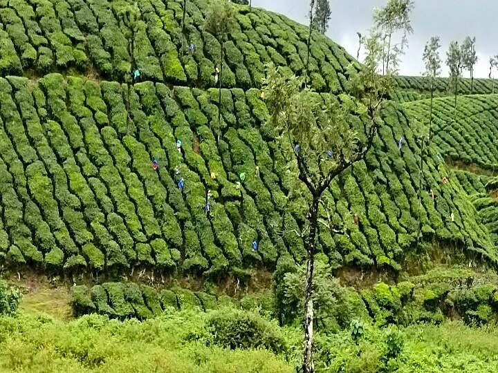 வனத்துறை துப்பாக்கி சூடு சம்பவம்: காவல் ஆய்வாளர் சாட்சியை மிரட்டுவதாக விவசாயின் மகள் புகார்