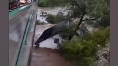 Germany Floods: Houses, trees washes away with strong gush of water