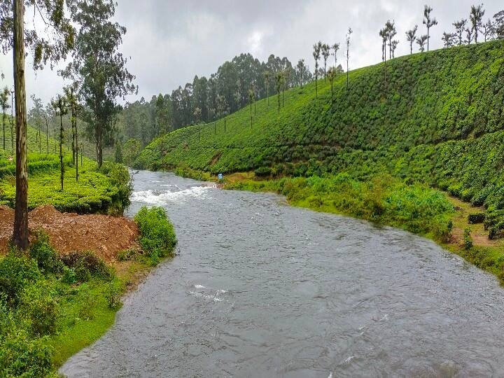 special trip to sinna kallar which is largest rainfall in tamilnadu மச்சி ஒரு டிரிப் போலாமா?:  தூவானம்... வனமே வானம்... 'சின்ன சிரபுஞ்சி' சின்னக்கல்லார் பயணம்!