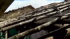 અમરેલીઃ તૌકતે સંકટના નુકસાન બાદ માલધારીઓ સરકારની સહાયથી વંચિત, શું કરી માંગ?