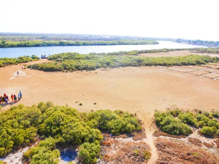 Karankadu Eco Tourism : காரசார நண்டு, கடல் பயணம்,  காரங்காடு சூழல் சுற்றுலா.. கண்டிப்பா ஒரு டூர் போடுங்க..!