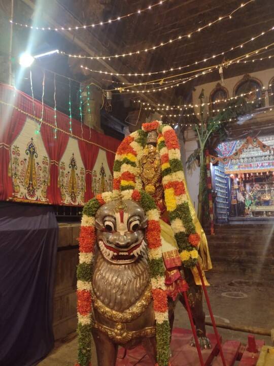 சிம்ம வாகனத்தில் கள்ளழகர் சிறப்பு புகைப்படம்.