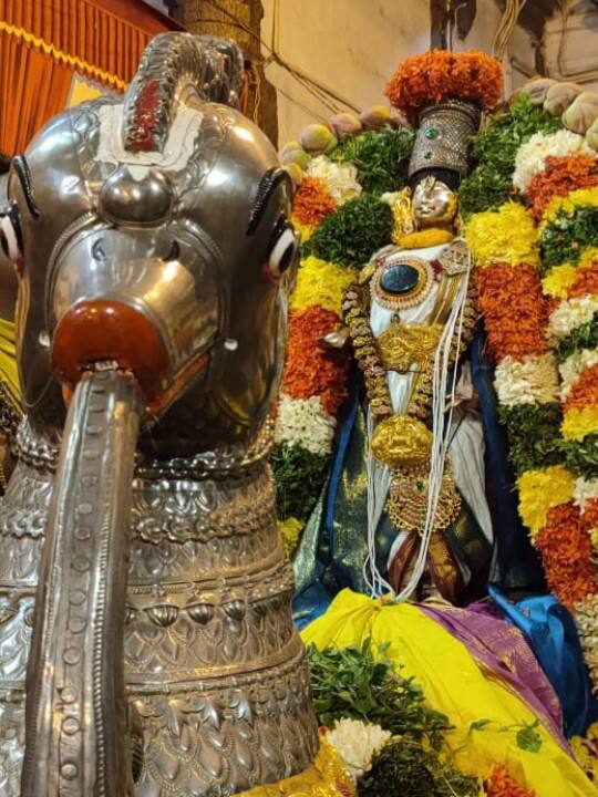 அன்ன வாகனத்தில் கள்ளழகர் புகைப்படம்