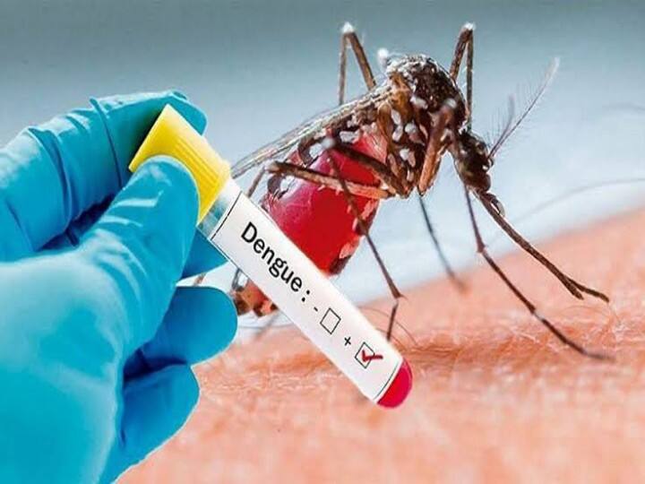 Increasing dengue; Do's and Don'ts - Health Department Alert Dengue : அதிகரிக்கும் டெங்கு; என்ன செய்ய வேண்டும், செய்யக்கூடாது? சுகாதாரத்துறை கொடுக்கும் எச்சரிக்கை என்ன?