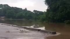 નવસારીમાં મોડીરાતથી વરસ્યો ધોધમાર વરસાદ, ક્યાં કેટલા ઈંચ ખાબક્યો વરસાદ?