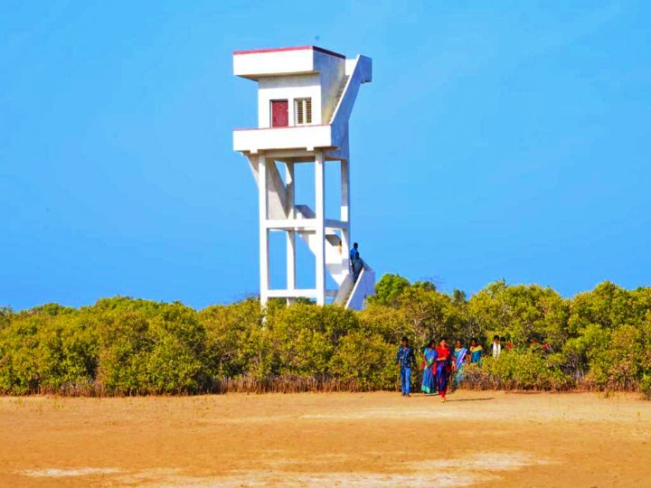 Karankadu Eco Tourism : காரசார நண்டு, கடல் பயணம்,  காரங்காடு சூழல் சுற்றுலா.. கண்டிப்பா ஒரு டூர் போடுங்க..!