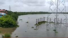 વલસાડ જિલ્લાની કોલક નદીમાં વરસાદને કારણે થઈ પાણીની ભારે આવક, જુઓ વીડિયો