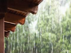 Monsoon Diet Tips: வந்துவிட்டது மழைக்காலம்.. உணவில் கவனம் தேவை.. இங்கே சில தகவல்கள்!