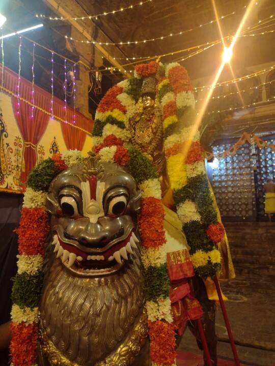 சிம்ம வாகனத்தில் கள்ளழகர் சிறப்பு புகைப்படம்.