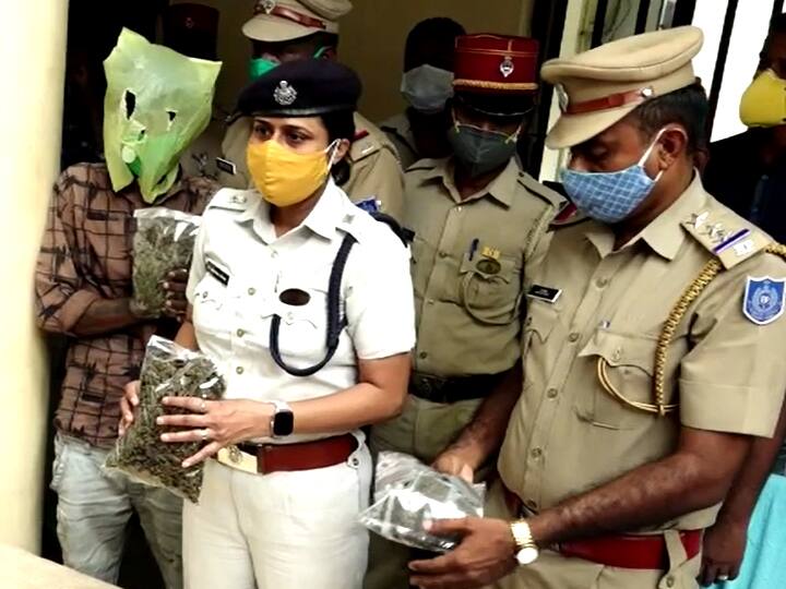 Youth arrested for selling cannabis in Pondicherry targetting young boys for selling புதுச்சேரி : தொடர் கஞ்சா விற்பனை : சிறுவர்களே குறி.. சிக்கிய இளைஞர்கள் கைது..!