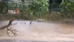 વલસાડ અને નવસારીમાં વરસ્યો ધોધમાર વરસાદ,નીચાણવાળા વિસ્તારોમાં ભરાયા પાણી