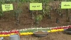 કેન્દ્રીય મંત્રી અમિત શાહે જનતા અને ભાજપના કાર્યકરોને શું કરી ટકોર?,જુઓ વીડિયો