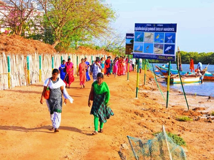 Karankadu Eco Tourism : காரசார நண்டு, கடல் பயணம்,  காரங்காடு சூழல் சுற்றுலா.. கண்டிப்பா ஒரு டூர் போடுங்க..!