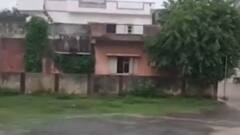 નર્મદા જિલ્લામાં સાર્વત્રિક વરસાદ, ખેડૂતોમાં જોવા મળી ખુશી, જુઓ વીડિયો