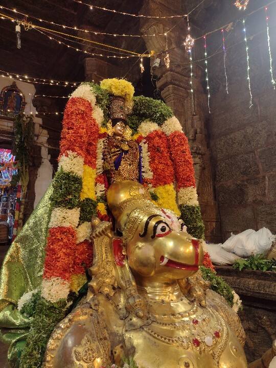 அனுமார் வாகனத்தில் கள்ளழகர் அருள் பாலிக்கும் காட்சி.