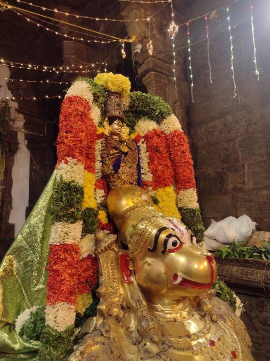 மூன்றாம் நாள் ஆடிப்பெருந்திருவிழாவில் கள்ளழகர்.