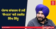 ਪੰਜਾਬ ਕਾਂਗਰਸ ਦੇ ਨਵੇਂ 'ਕੈਪਟਨ' ਬਣੇ ਨਵਜੋਤ ਸਿੰਘ ਸਿੱਧੂ, ਜਿੱਤ ਲਿਆ ਪ੍ਰਧਾਨਗੀ ਵਾਲਾ 'ਮੈਚ', ਲੈਣਗੇ ਸੁਨੀਲ ਜਾਖੜਾ ਦੀ ਥਾਂ
