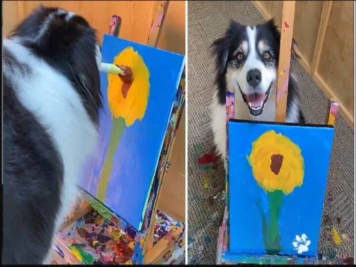 Dog Painting Sunflower goes viral in instagram after its owner posts it with emotional caption Dog Painting: நாய் வரைந்த ஓவியம்: 1.8 லட்சம் ‛லைக்ஸ்’  பெற்றது!