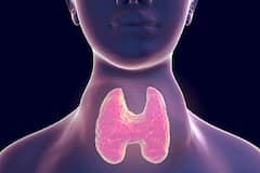 Thyroid Problem: Have These Foods If You Have Initial Symptoms