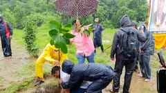 Dombivali Tree Plantation : डोंबिवलीच्या उंबार्ली गावात वृक्षरोपण मोहीम, वनविभागाच्या जागेवर वृक्ष लागवड