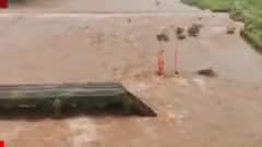 कोकणात पावसाची जोरदार बॅटिंग! रत्नागिरी जिल्ह्यात तब्बल 2000 मिलीमीटर पावसाची नोंद