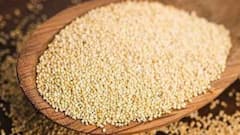 Poppy Seeds Price: কলকাতায় আরও দামি পোস্ত, ১ কেজির দাম ছাড়াল ২ হাজার টাকা!