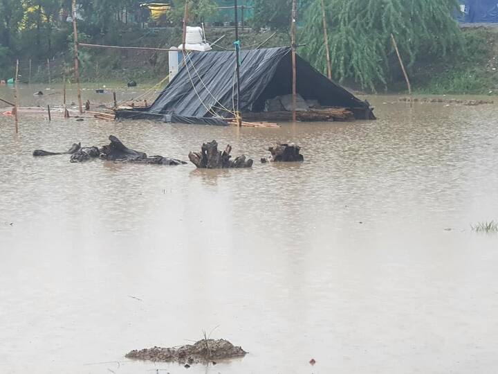 ਕਿਸਾਨਾਂ ਨੇ ਠੰਢ, ਗਰਮੀ ਤੇ ਬਰਸਾਤ ਦੇ ਮੌਸਮ ਇਸੇ ਥਾਂ ਆਪਣੀਆਂ ਮੰਗਾਂ ਨੂੰ ਮੰਨਾਉਣ ਲਈ ਕੱਢ ਦਿੱਤੇ ਤੇ ਕਿਸੇ ਵੀ ਮੌਸਮ ਨਾਲ ਕਿਸਾਨਾਂ ਦੇ ਹੌਂਸਲੇ ਘੱਟ ਹੁੰਦੇ ਨਜ਼ਰ ਨਹੀਂ ਆਏ।