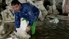 Pen Heavy Rain : पेणमधील गणपती कारखान्या पाणी, गणेशोत्सव तोंडावर असताना मूर्तीकारांवर संकट