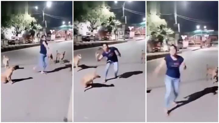 Woman Dancing in Front of Dogs inspiring Sholay Movie basanti song Woman Dance Video: చుట్టూ కుక్కలు…మధ్యలో డాన్స్..ఎందుకిలా చేసింది?