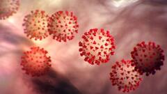 Covid Third Wave: উত্তর দিক থেকে আঘাত হানবে কোভিডের তৃতীয় ঢেউ? বাড়ছে আশঙ্কা