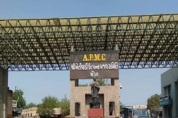 સૌરાષ્ટ્રના સૌથી મોટા ગોંડલ માર્કેટયાર્ડમાં ક્યારે યોજાશે ચૂંટણી, ક્યાં સુધી ભરી શકાશે ઉમેદવારી પત્ર?