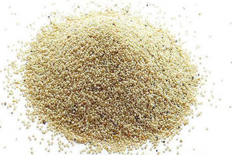 Kolkata Poppy Seeds Price Open Market reach Rs 2000 per kg Bengali spices Kolkata Poppy Seeds Price: দু’হাজার টাকা পেরিয়ে গেল পোস্তর কেজি, দায়ী কেন্দ্রের নীতি, অভিযোগ ব্যবসায়ীদের