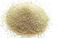 Poppy Seed : ভুট্টার গুঁড়ো মিশিয়ে ভেজাল পোস্ত ! ভেজাল কারবারের হদিশ বড়বাজারে