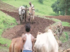பிரதம மந்திரி கிஷான் நிதி: தகுதியற்ற விவசாயிகளை சென்றடைந்த ரூ.3 ஆயிரம் கோடி!