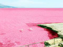 உலகின் விசித்திரமான ஏரிகள் .. ஒரு கலெக்‌ஷன்..!