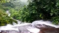 Ratnagiri Rains : रत्नागिरी जिल्ह्याला अतिमुसळधार पावसाचा इशारा