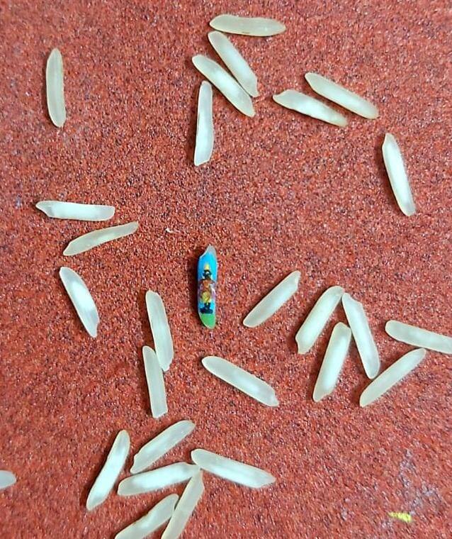 तांदळाच्या दाण्यावर चित्र रेखाटून चांदरकर सरांना एक महत्त्वाचा संदेश सर्व विठ्ठल भक्तांपर्यंत पोहोचवायचा आहे. तो म्हणजे,