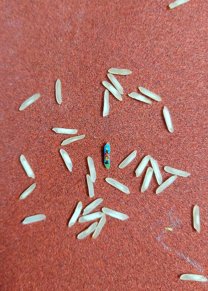 एवढ्या छोट्या आकारातील चित्र साकरण्याचा हा चांदरकर यांचा पहिलाच प्रयत्न आहे. ज्या तांदळाच्या दाण्यावर सरांनी विठ्ठलाचे चित्र साकारले आहे. त्या तांदळाच्या दाण्याचा आकार आहे. 2mm x 7 mm आणि विशेष म्हणजे हे चित्र रेखाटण्यासाठी त्यांना अवघ्या 15 मिनिटांचा वेळ लागला. दाण्यावर साकारलेली कलाकृती पाहण्यासाठी बहिर्वक्र भिंगाचा वापर करावा लागतो. प्रत्यक्ष पेंटिंग करताना सुद्धा त्यांना बहिर्वक्र भिंगाचा वापर करावा लागला.