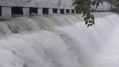 फ़िरोज़ाबाद की खारजा नहर में बढ़ा जलस्तर, खेतों में पानी आने से 1700 बीघा धान की फसल बर्बाद