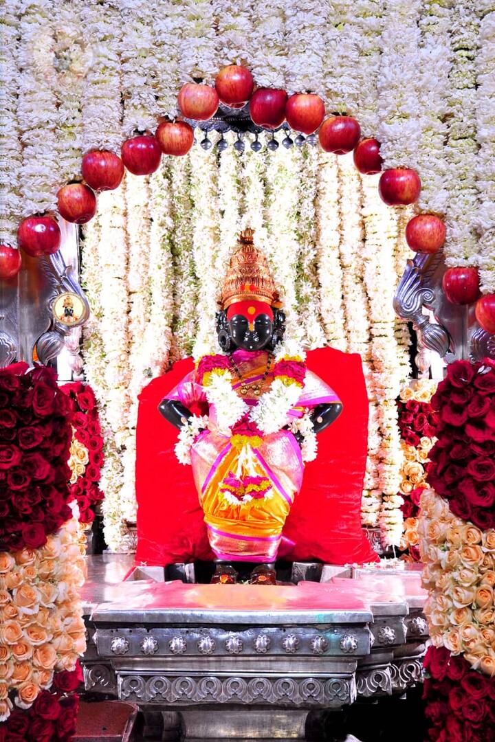 संत ज्ञानेश्वर माऊली, रुक्मिणी पालखी, संत एकनाथ महाराज, संत सोपानकाका, संत चांगावटेश्वर महाराज, संत निवृत्ती महाराज, संत निळोबा महाराज पालखी, संत मुक्ताबाई पालखी या मानाच्या पालख्या पंढरपुरात दाखल झाल्या आहेत.