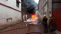 Fire: মহেশতলায় কারখানায় ৯ ঘণ্টা পরও নিয়ন্ত্রণে আসেনি আগুন