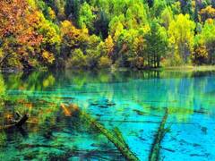 உலகின் விசித்திரமான ஏரிகள் .. ஒரு கலெக்‌ஷன்..!