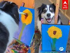 Dog Drawing : நாய் வரைந்த அற்புத ஓவியம்..இன்ஸ்டாவில் குவிந்த லைக்ஸ்..