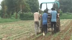 અમુક પ્રકારના એરંડાના બિયારણમાં સરકારે સબસીડી બંધ કરતા ખેડૂતોને હાલાકી, હવે કેટલા ચુકવવા પડશે?