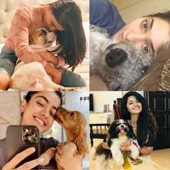 Tollywood Actress Pets Photos: వాటి ప్రేమలో మునిగిపోయిన మన హీరోయిన్లు!