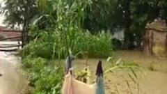 UP Rains: बारिश में जलमग्न हुई सड़के, Etawah में सरकारी अस्पताल बना तालाब | ABP Ganga