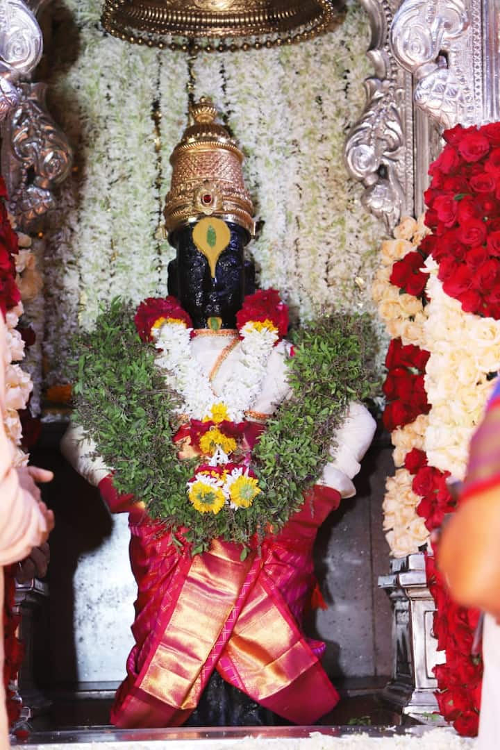 डोळ्यांचं पारणं फेडणारं विठ्ठलाचं रुप